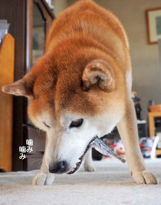 16日夕ブログ９