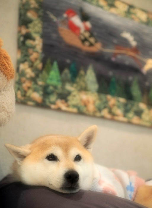 22日夜ブログ１