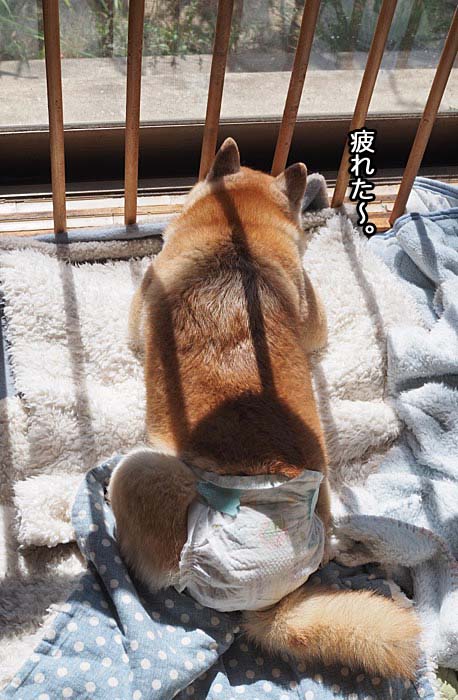 9日ブログ４