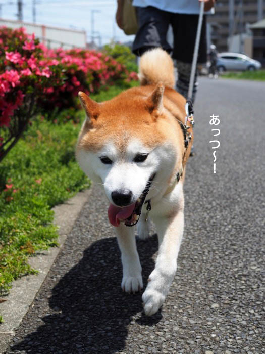 24日ブログ３