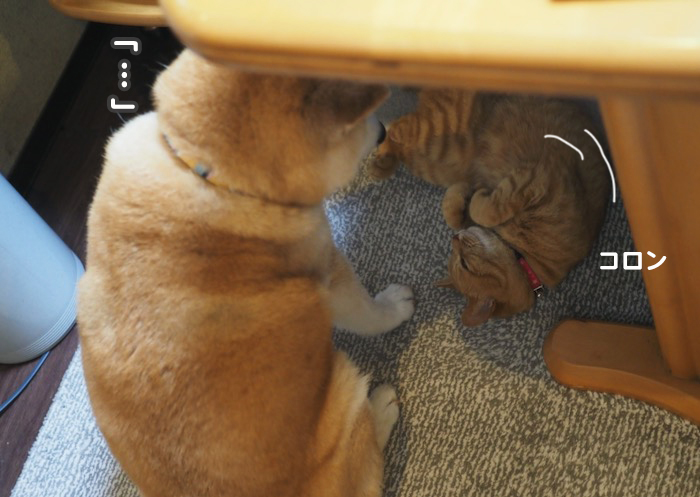 14日ブログ２