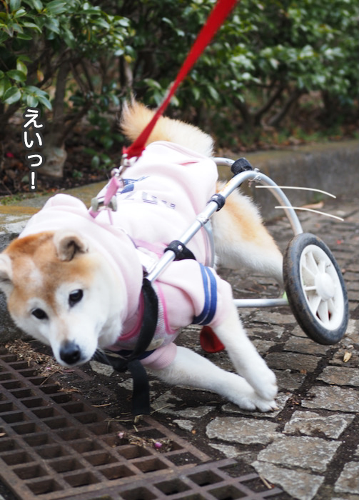 14日夜ブログ７
