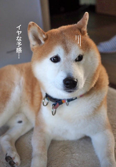 16日ブログ９
