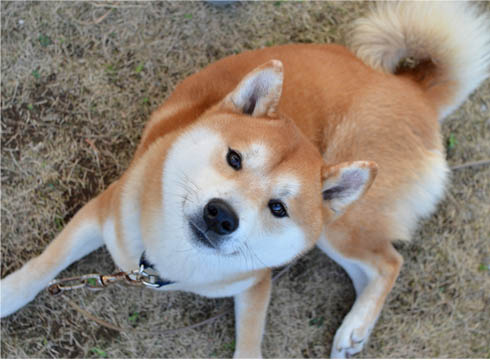 5日ブログ9.jpg