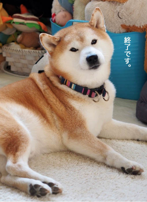 8日夜ブログ７