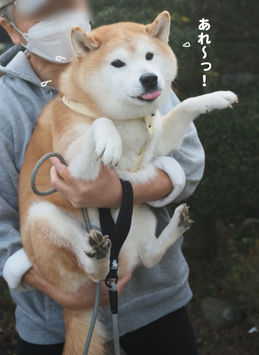 7日夕ブログ１１