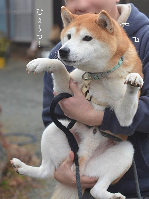 22日ブログ５