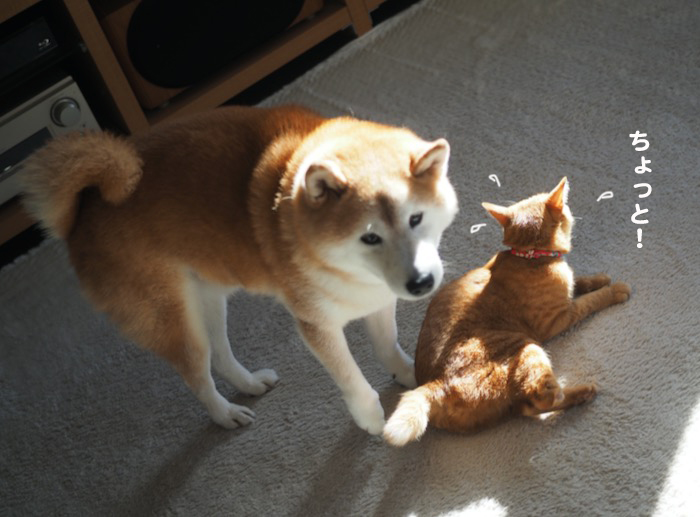 29日ブログ４