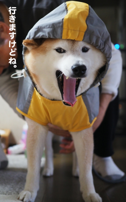 25日ブログ３