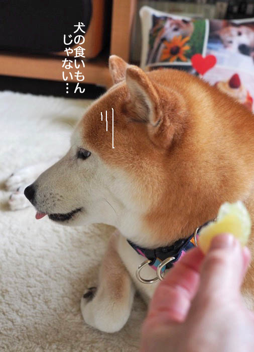 14日ブログ１２