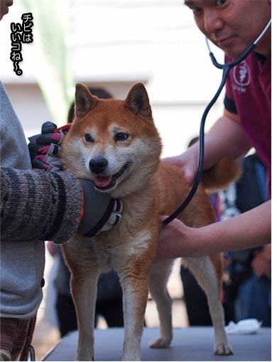 27日ブログ5.jpg