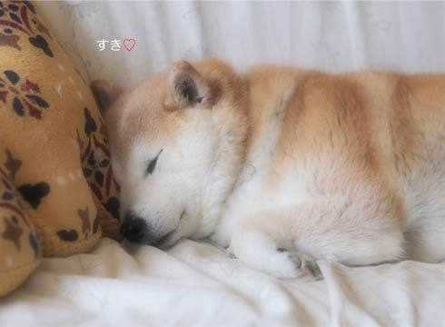 1日ブログ7.jpg