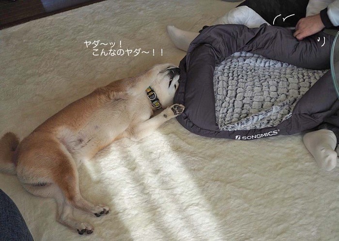 2日ブログ７