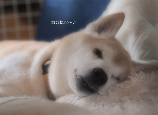9日ブログ3.jpg