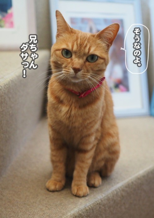 11日ブログ８