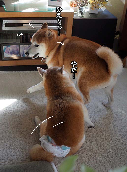30日夕ブログ１１