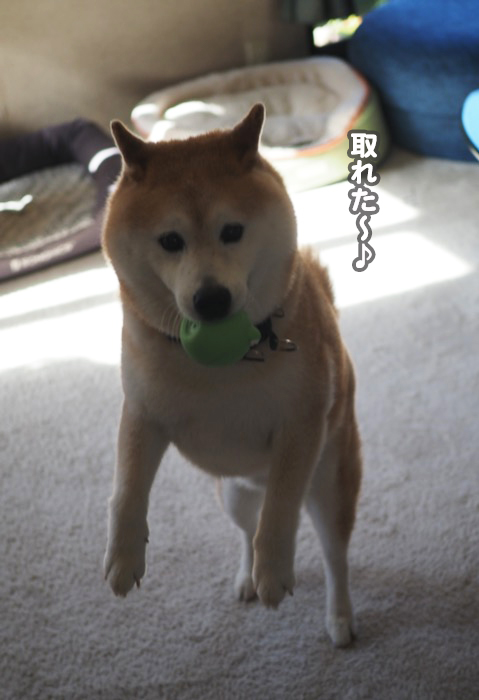 24日ブログ１１