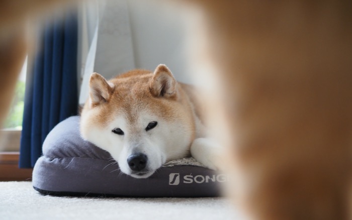 1日ブログ５