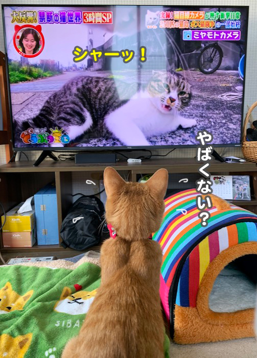 28日夜ブログ10