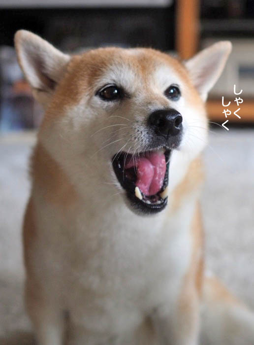 19日ブログ４