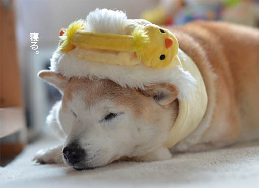 10日ブログ8.jpg