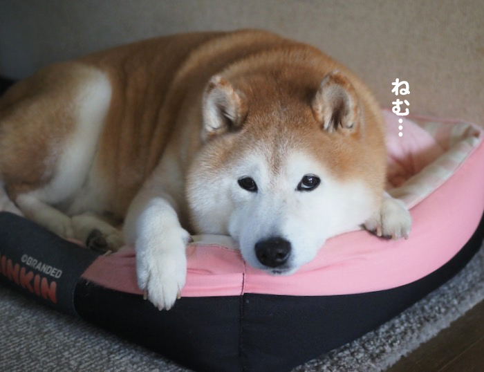 16日ブログ２