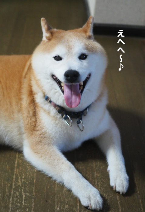 22日夜ブログ６