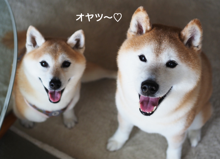 17日夜ブログ９