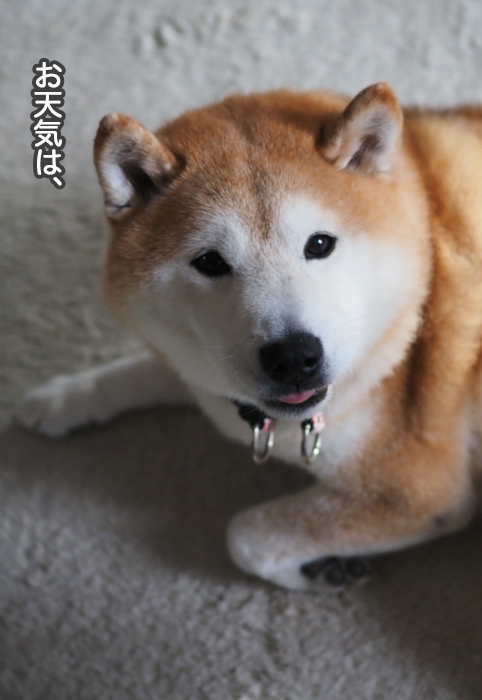 19日ブログ２