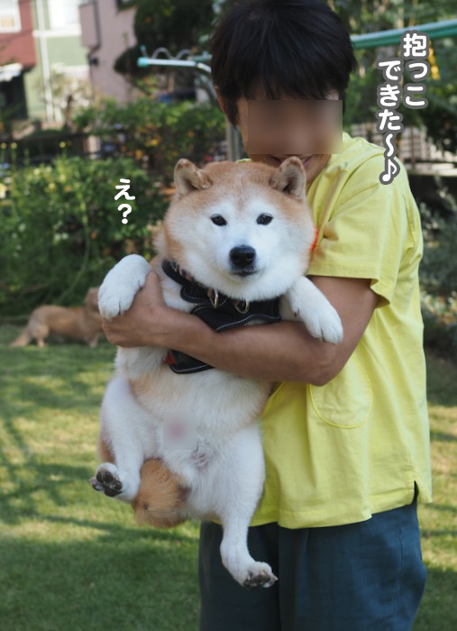 30日夕ブログ１１