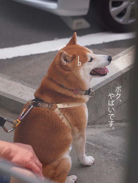 21日ブログ2