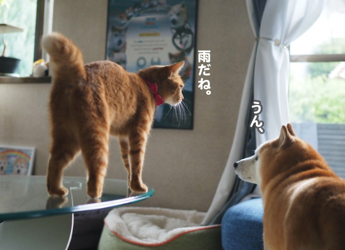 13日夕ブログ４