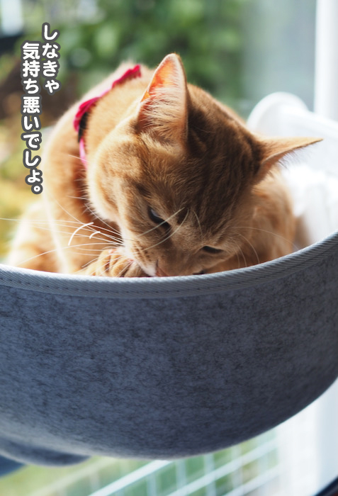 26日ブログ5