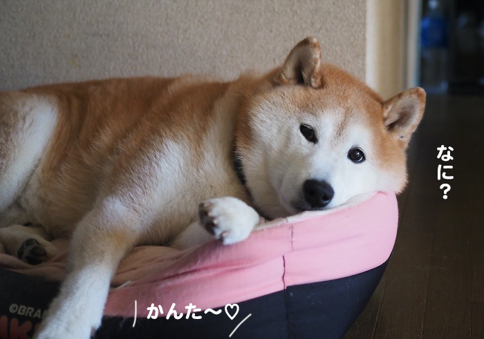 26日ブログ２