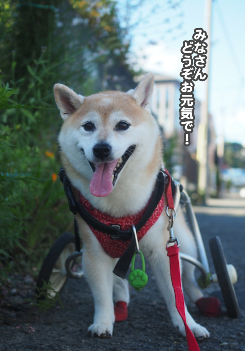 8日ブログ６
