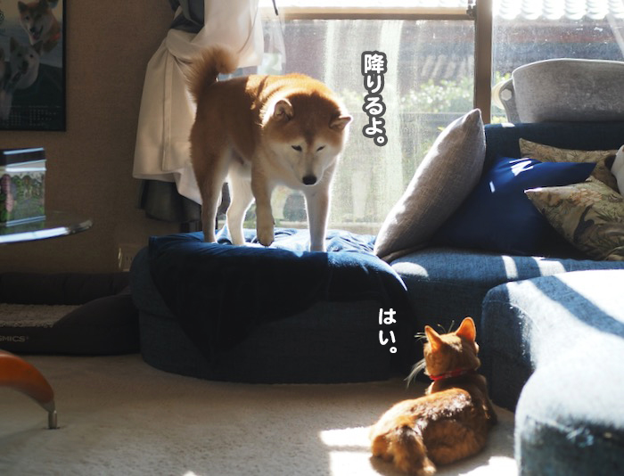 27日ブログ４