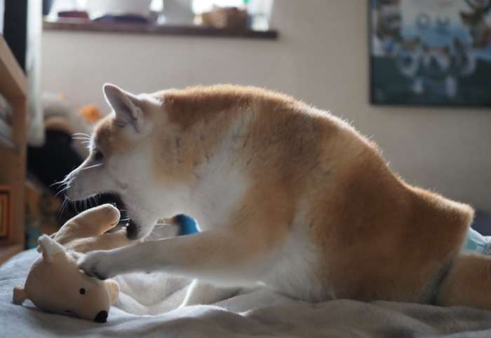 16日ブログ１