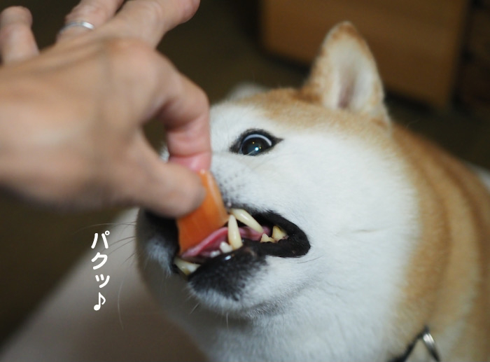 30日夜ブログ12