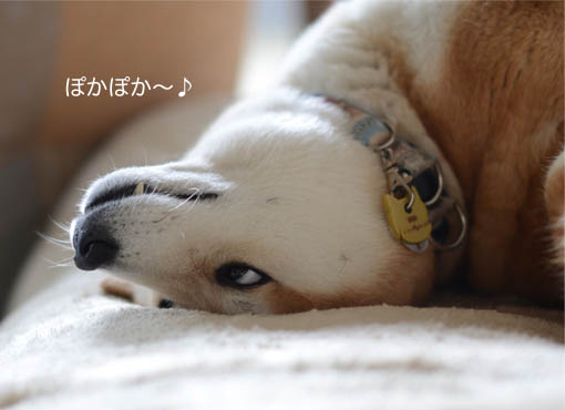 2日ブログ４.jpg
