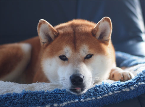 25日ブログ4.jpg