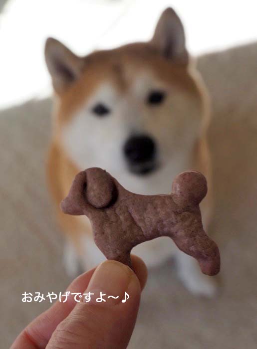 16日ブログ8