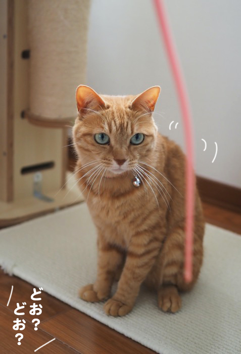 4日夕ブログ６