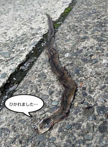 27日ブログ5.jpg