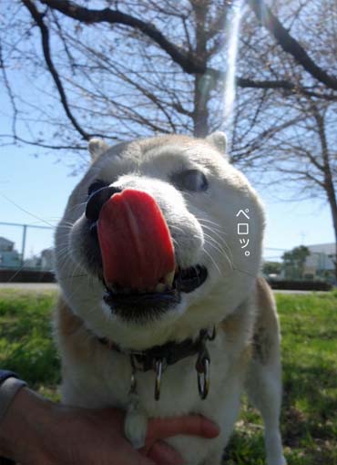 24日ブログ5.jpg