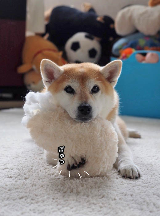 15日ブログ３