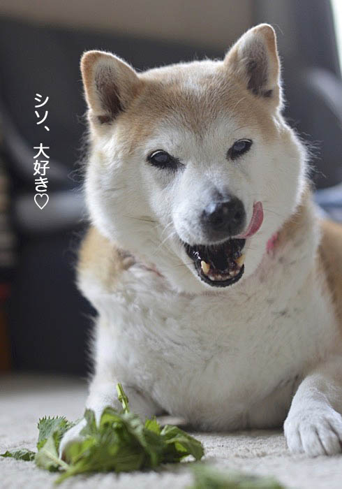 14日ブログ7