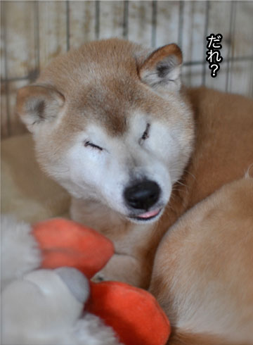 17日ブログ8.jpg
