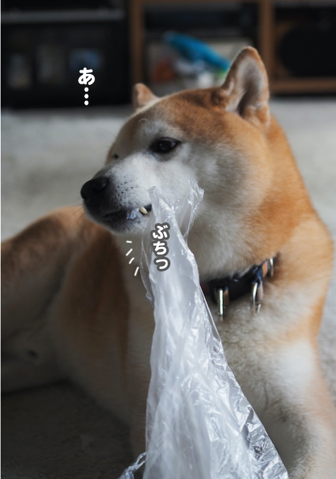 16日夕ブログ２