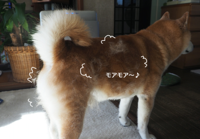 4日夕ブログ２