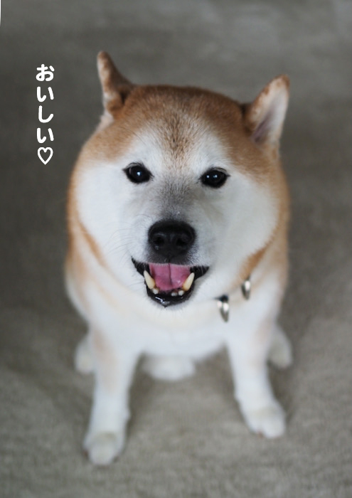 25日夕ブログ１４